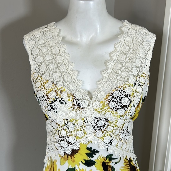 HOPE FOR FLOWERS BY TRACY REESE Silk Francoise Sleeveless Midi Dress Sz 6P - Picture 5 of 16